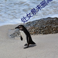 处女泉未删减版