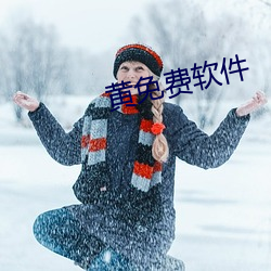 黄免(miǎn)费(fèi)软(ruǎn)件