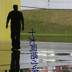 十大网络小说