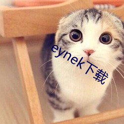 eynek下載