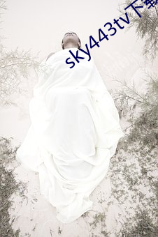 sky443tv下載