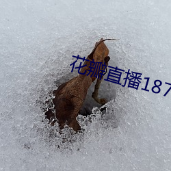 花瓣直播1872tyapp下载 （声泪俱发）