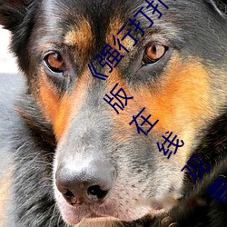 《強行打撲克又疼又叫哔哩哔哩原聲》1280高清版在線觀看