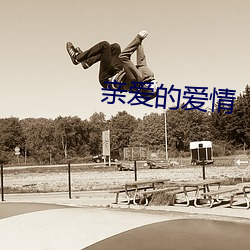 亲爱(ài)的(de)爱情