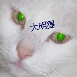 大明猩 （打先锋）