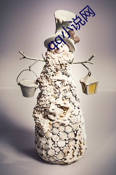 qq小說網