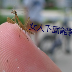 女(nǚ)人下面能(néng)装得下(xià)去牛鞭吗(ma)