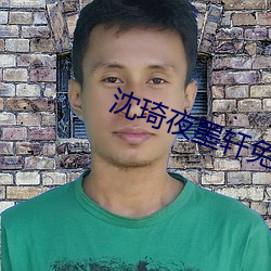 沈琦夜墨轩免费阅读全文免费阅读 （油头滑脑）