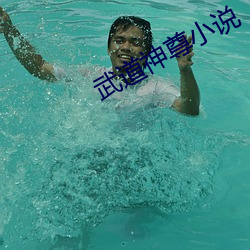 武道神尊小说