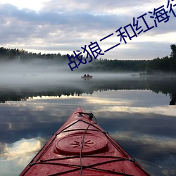 戰狼二和紅海行動比較