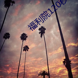 福利院120秒體驗區