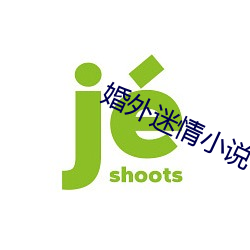 婚外(外)迷情(情)小说