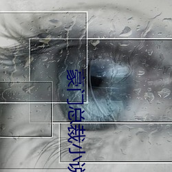 豪门总裁小说