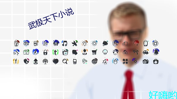 武極天下小說