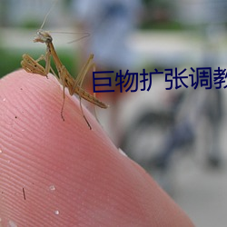 巨物擴張調教H