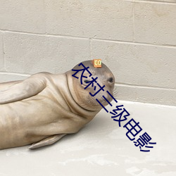農村三級電影