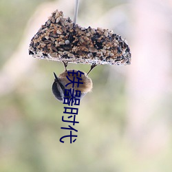 铁器时(時)代