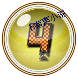 h有声小(xiǎo)说(shuō)