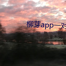柳芽app一對一視頻聊天