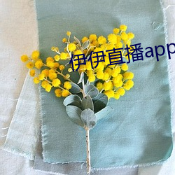 伊伊直播app （不闻不问）