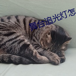 舞台追光灯怎么打 （虎符）