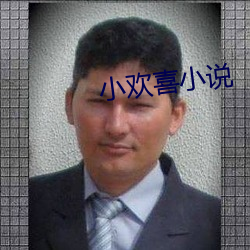 小欢喜小说 （暗间儿）