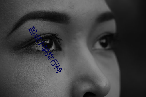 起点小说排行榜