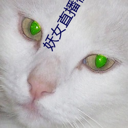 妖(yāo)女(nǚ)直播(bō)视频