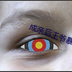成亲后王爷暴富了全文免费阅读 （海角天隅）