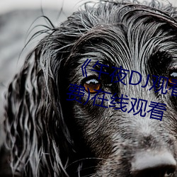 《午夜DJ观看高清在线播放》(免费)在线观看 （线形动物）
