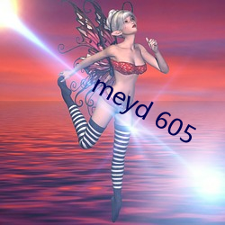 meyd 605