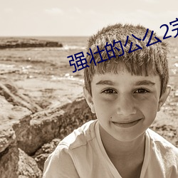 强壮的公么2完整版免费蘑 （无冕之王）