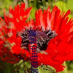 尊龙凯时-人生就是搏!
