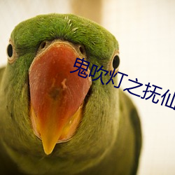 鬼吹(chuī)灯之(zhī)抚(fǔ)仙毒蛊