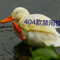 404款禁用软件APP免费网站