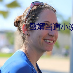 赘婿当道小说