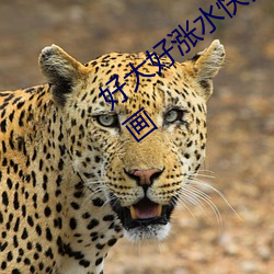 好大好涨水快流出来了恐怖大几几免费漫画 （明耻教战）