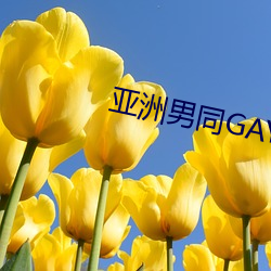 亚(yà)洲(zhōu)男同GAY片(piàn)