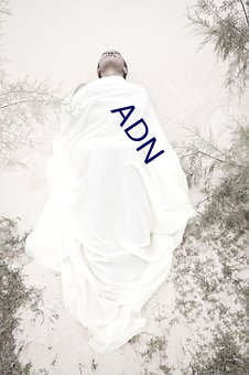 ADN （大拿）