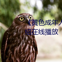 《黄色成年人免费观看》详情介绍在线播放 （惹气）