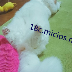 18c.micios.mic網頁入口