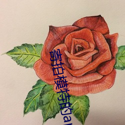 寄拍模特的app