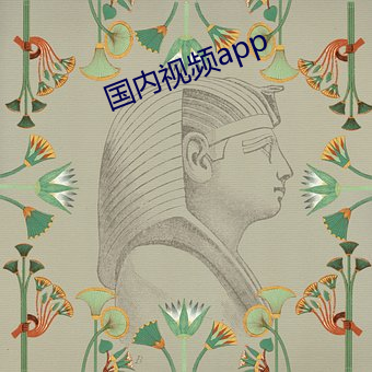 国内(內)视频app