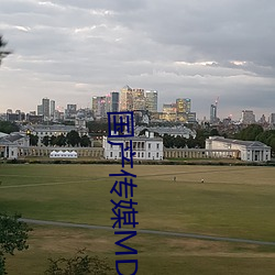 国产传(傳)媒MDX