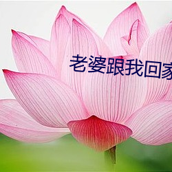 老婆跟我回家