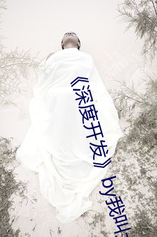 《深度开发》by我叫大海