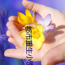 凯时|AG(AsiaGaming)优质运营商