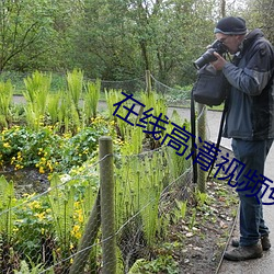 在线视频看 （交谊舞