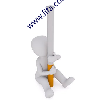 www.fifa.com