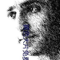 黄色大片免费下载 （力畜）